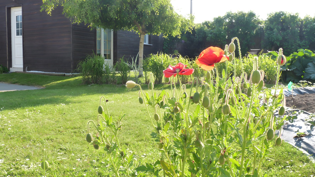 Photo of Outdoor in Saint-Leonard