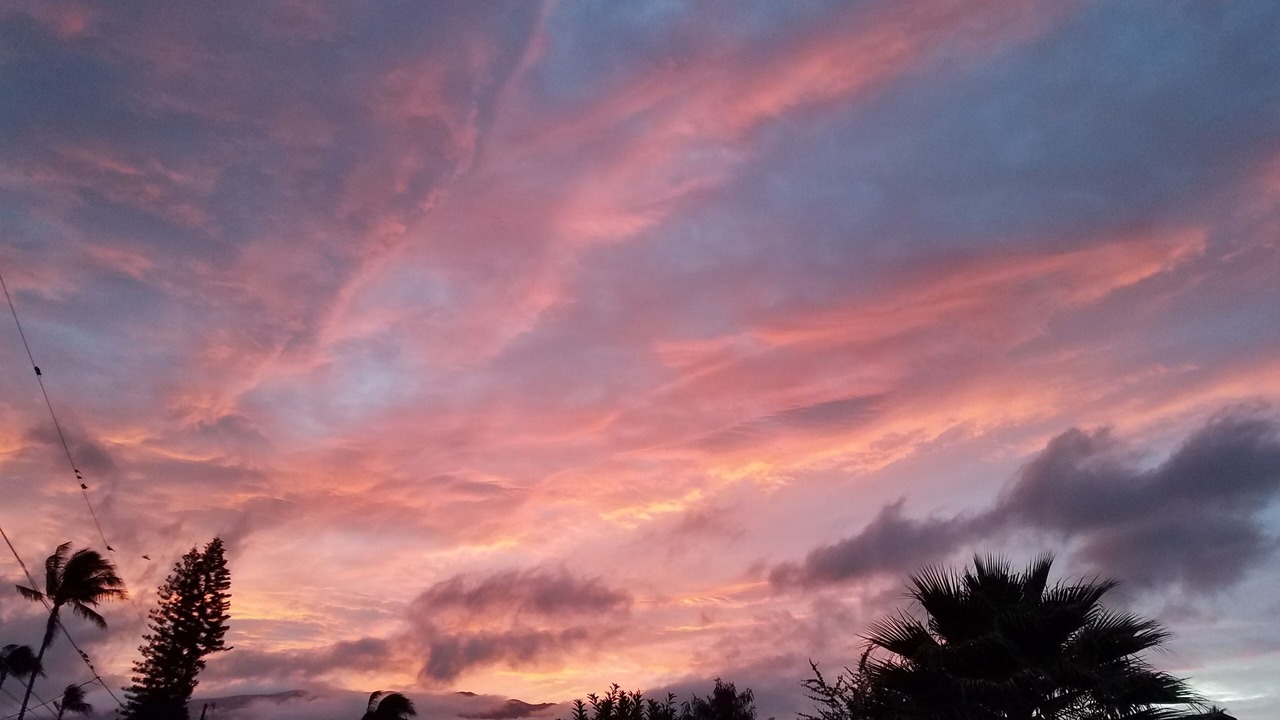 Photo of Others in Kahului