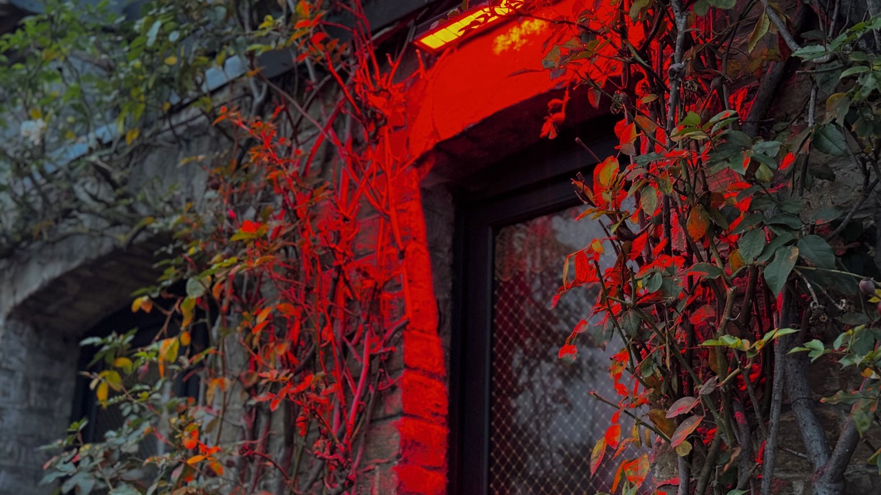 Photo of Outdoor in Oignies