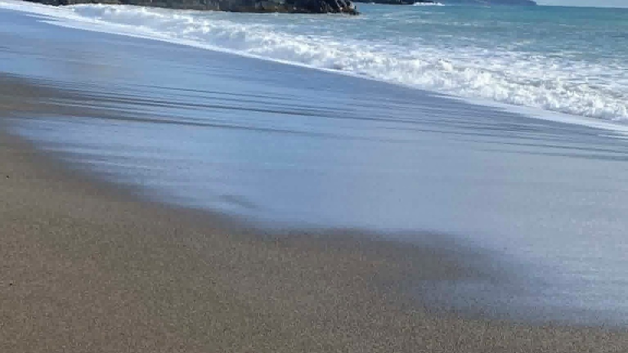 Photo of Others in Harbour Breton