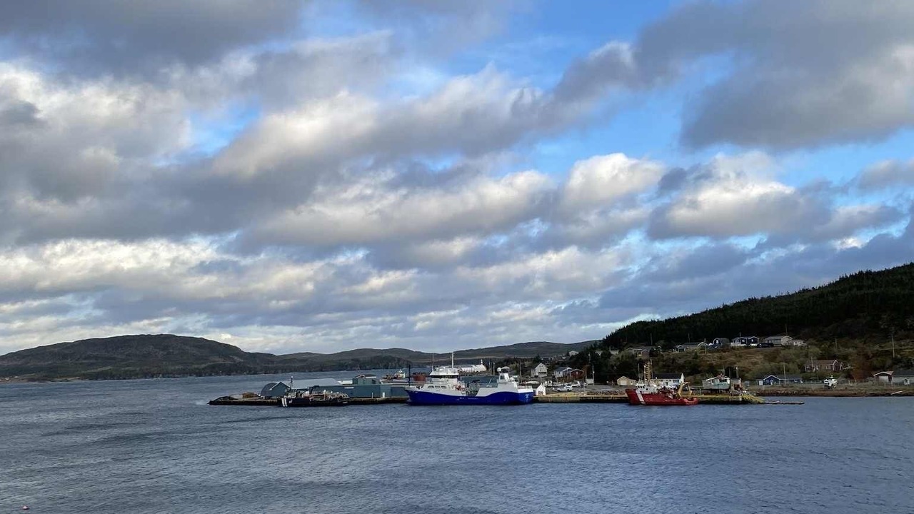 Photo of Others in Harbour Breton
