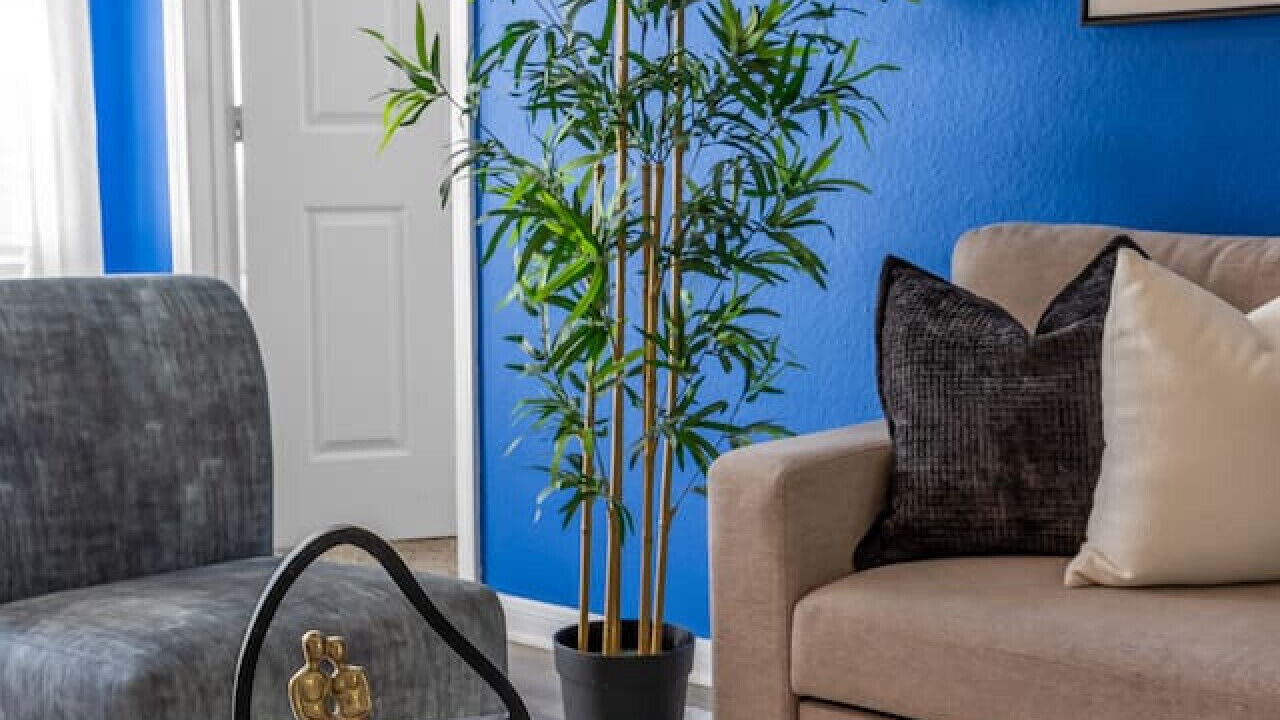 Photo of Livingroom in Pleasant Valley