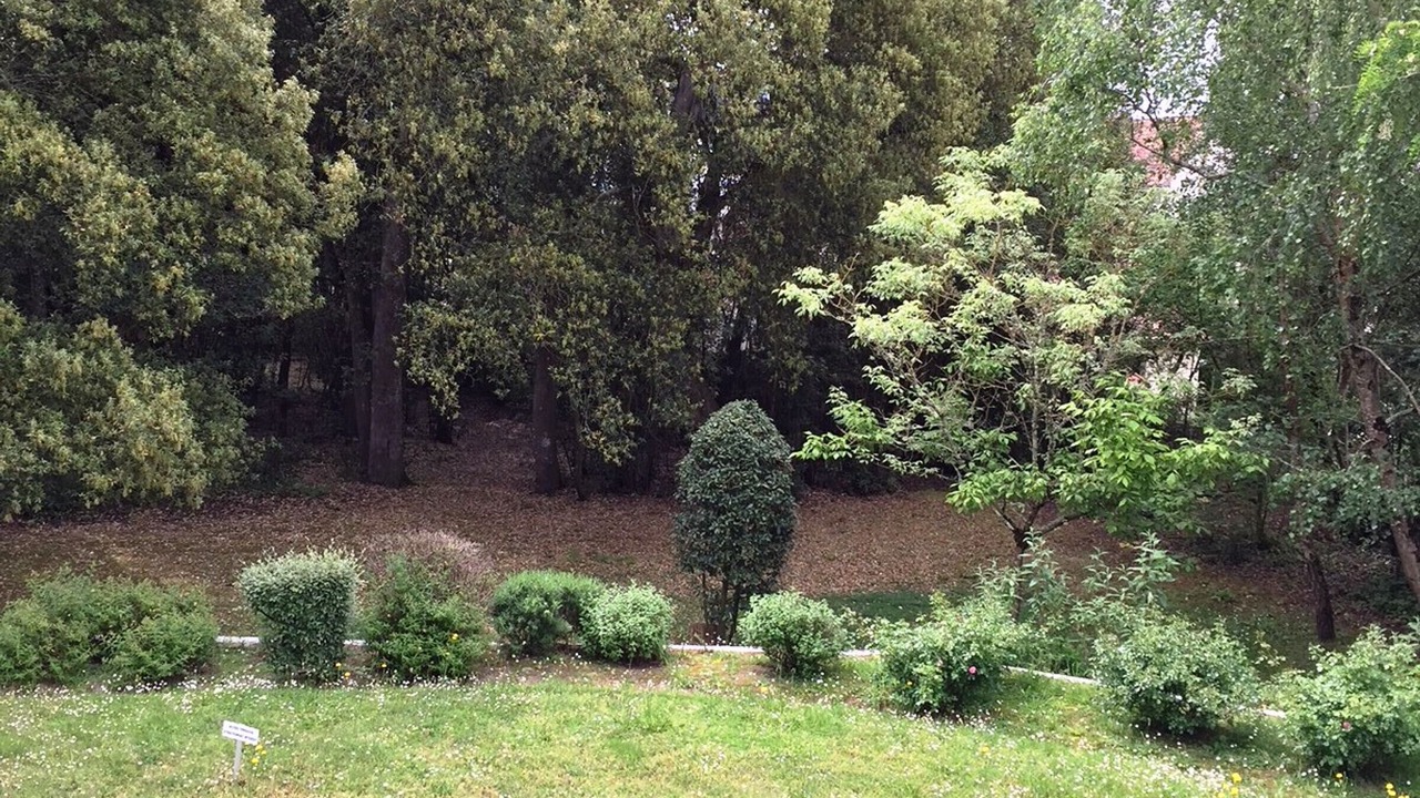 Photo of Outdoor in Le Pouliguen