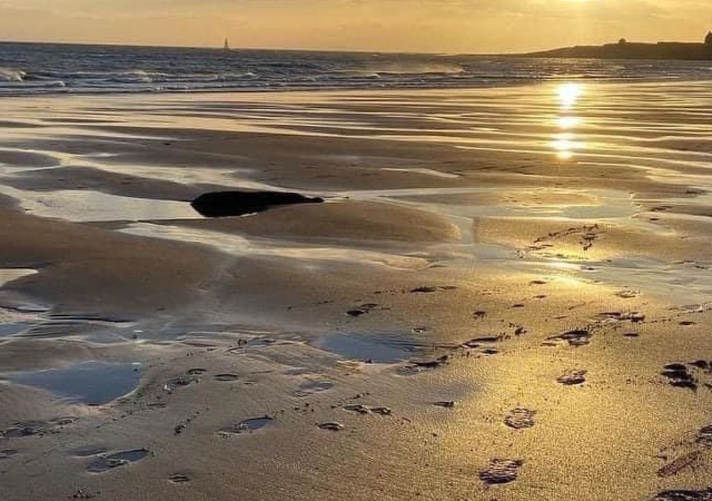 Photo of Others in Earlsferry