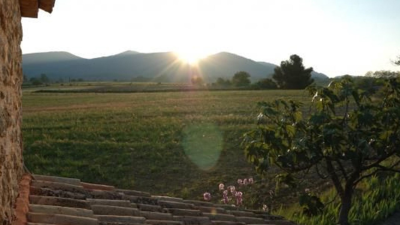 Photo of Others in Puymeras