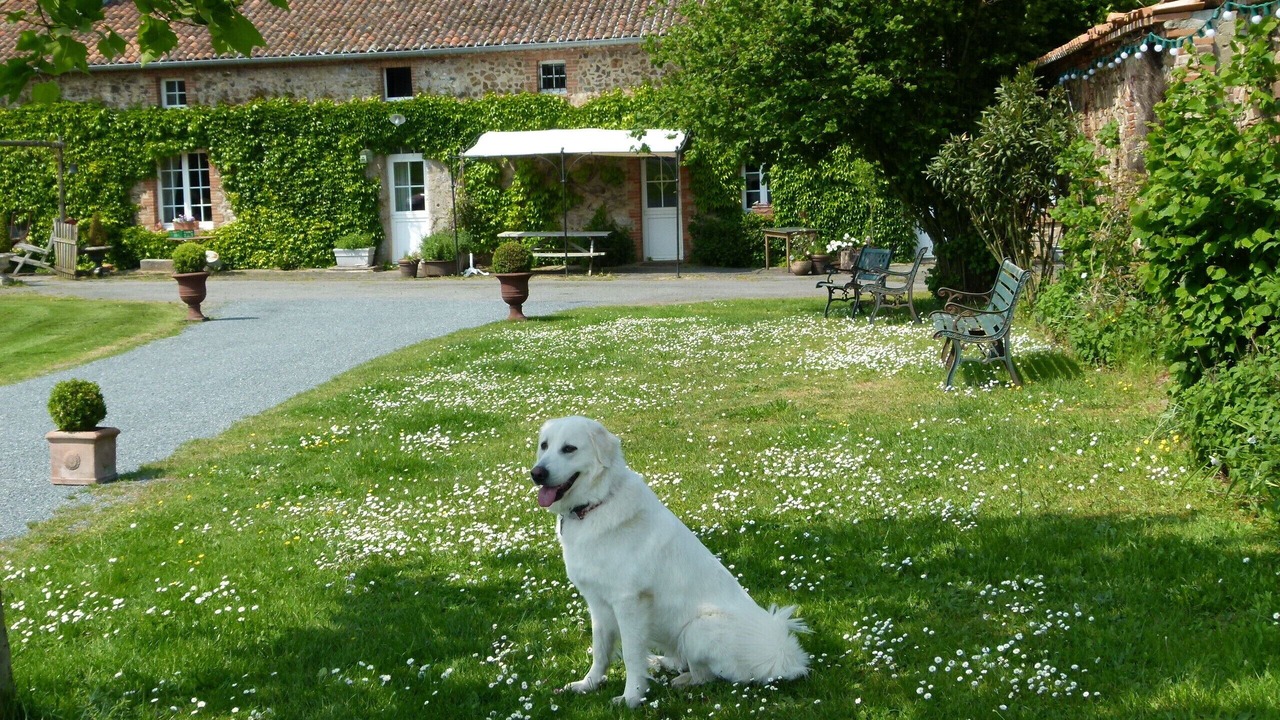 Photo of Outdoor in Cholet