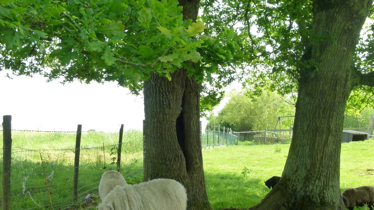 Photo of Others in Cholet