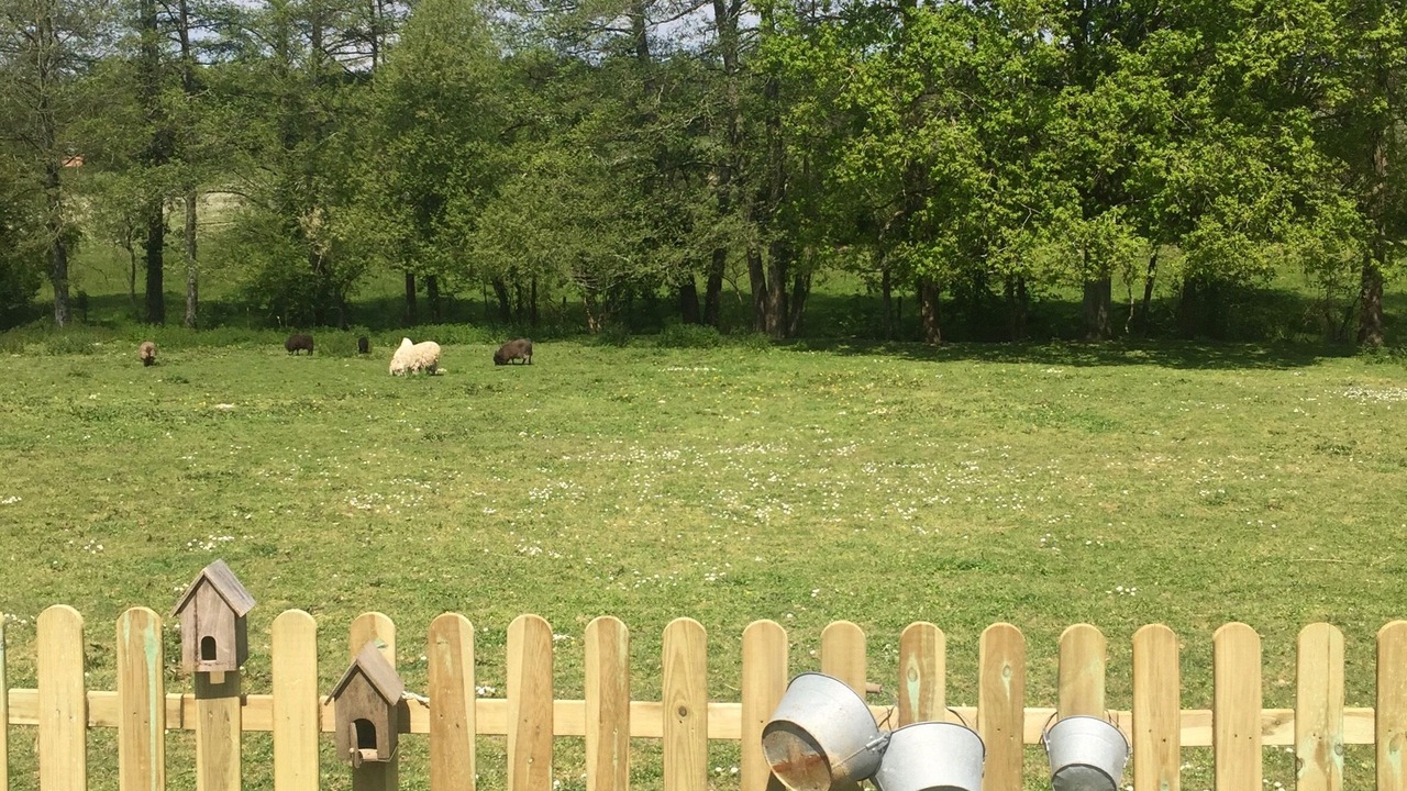 Photo of Outdoor in Cholet