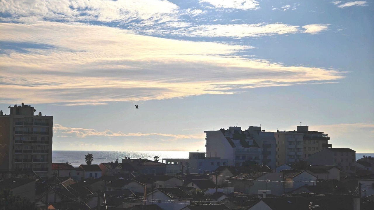 Photo of Others in Le Port