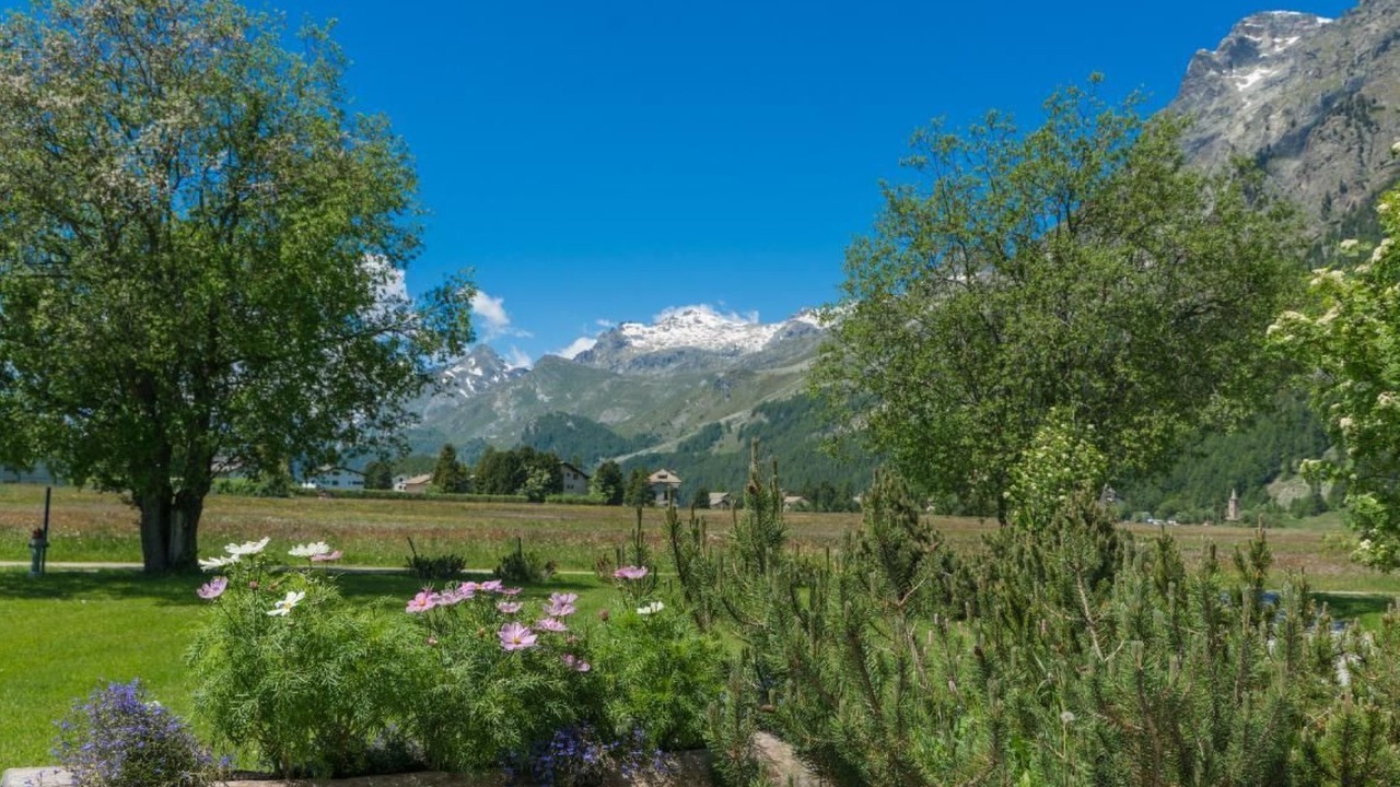 Photo of Outdoor in Sils-Maria