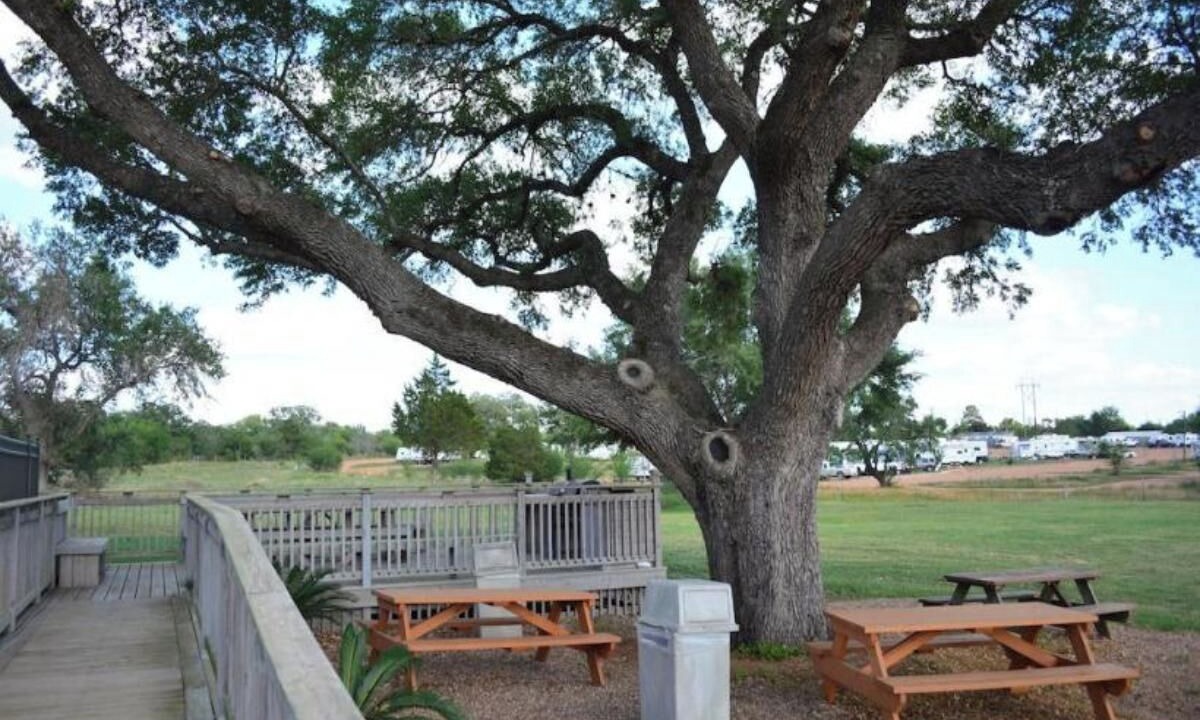 Photo of Outdoor in Cuero