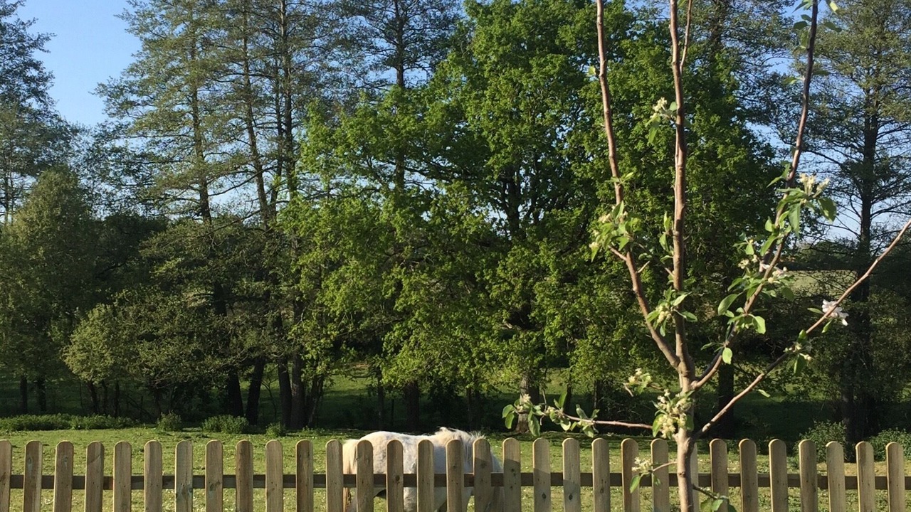 Photo of Outdoor in Cholet