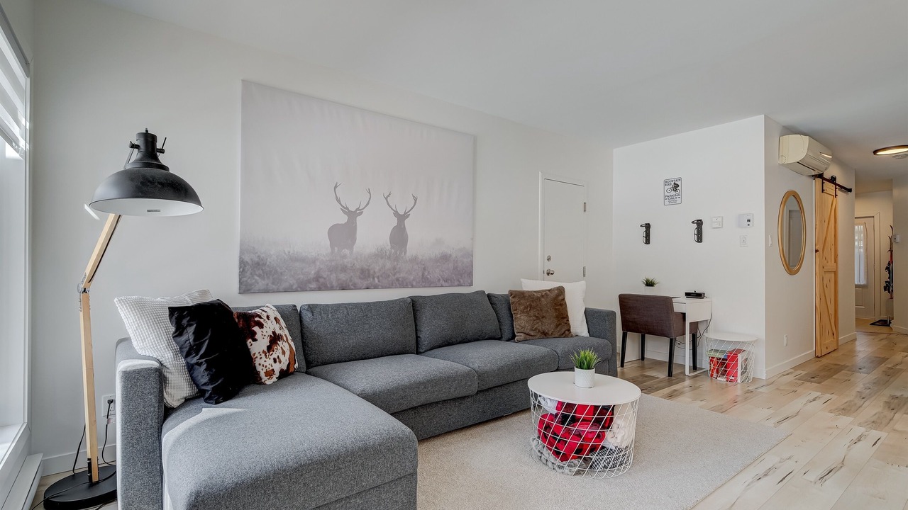 Photo of Livingroom in Bromont