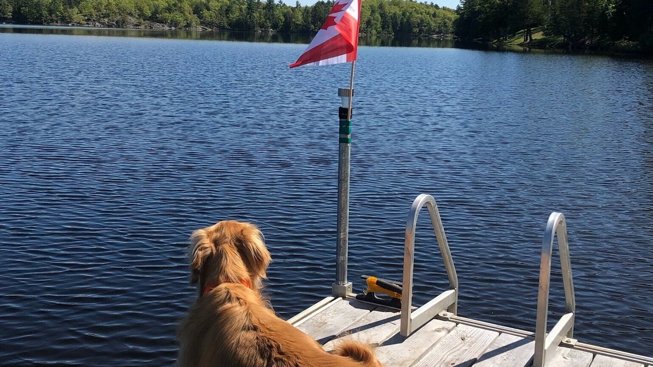 Photo of Others in Central Frontenac