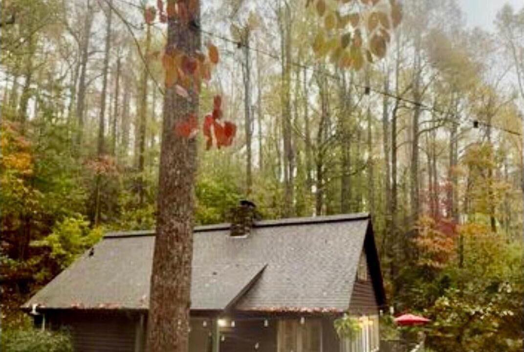 Photo of Outdoor in Saluda
