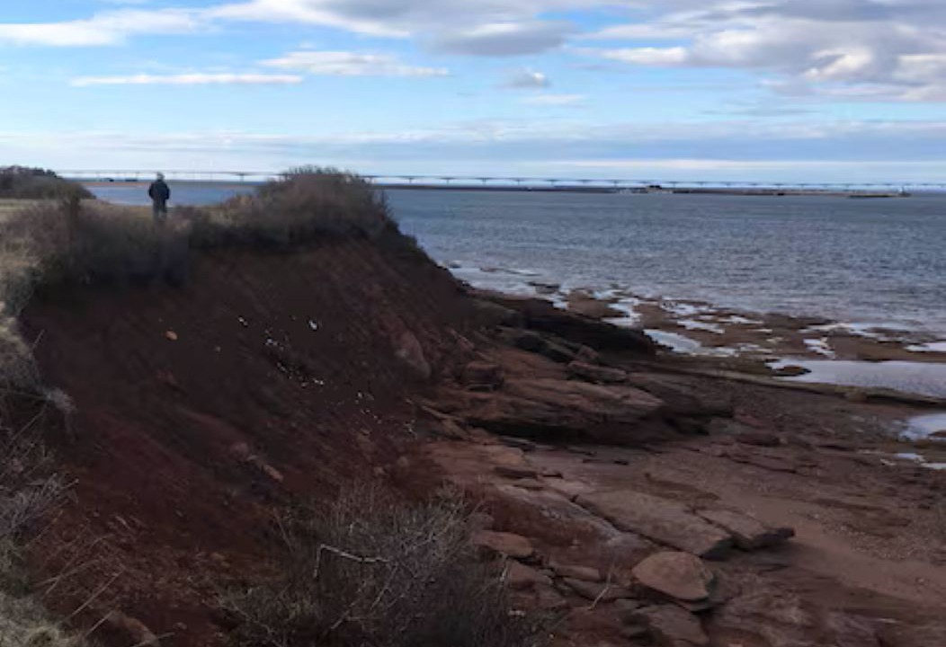 Photo of Others in Cape Tormentine