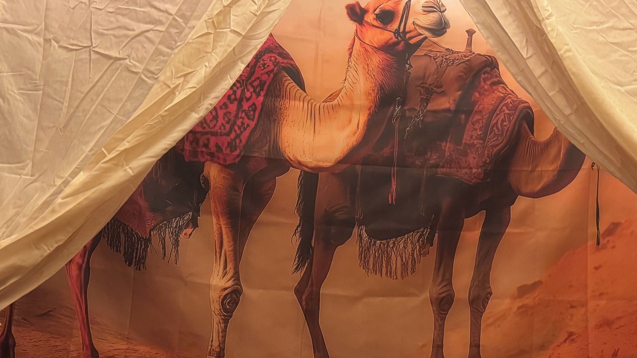 Photo of Others in Feignies