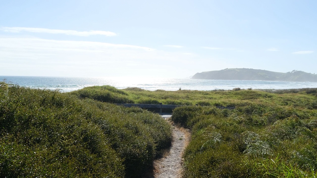 Photo of Others in Omaha