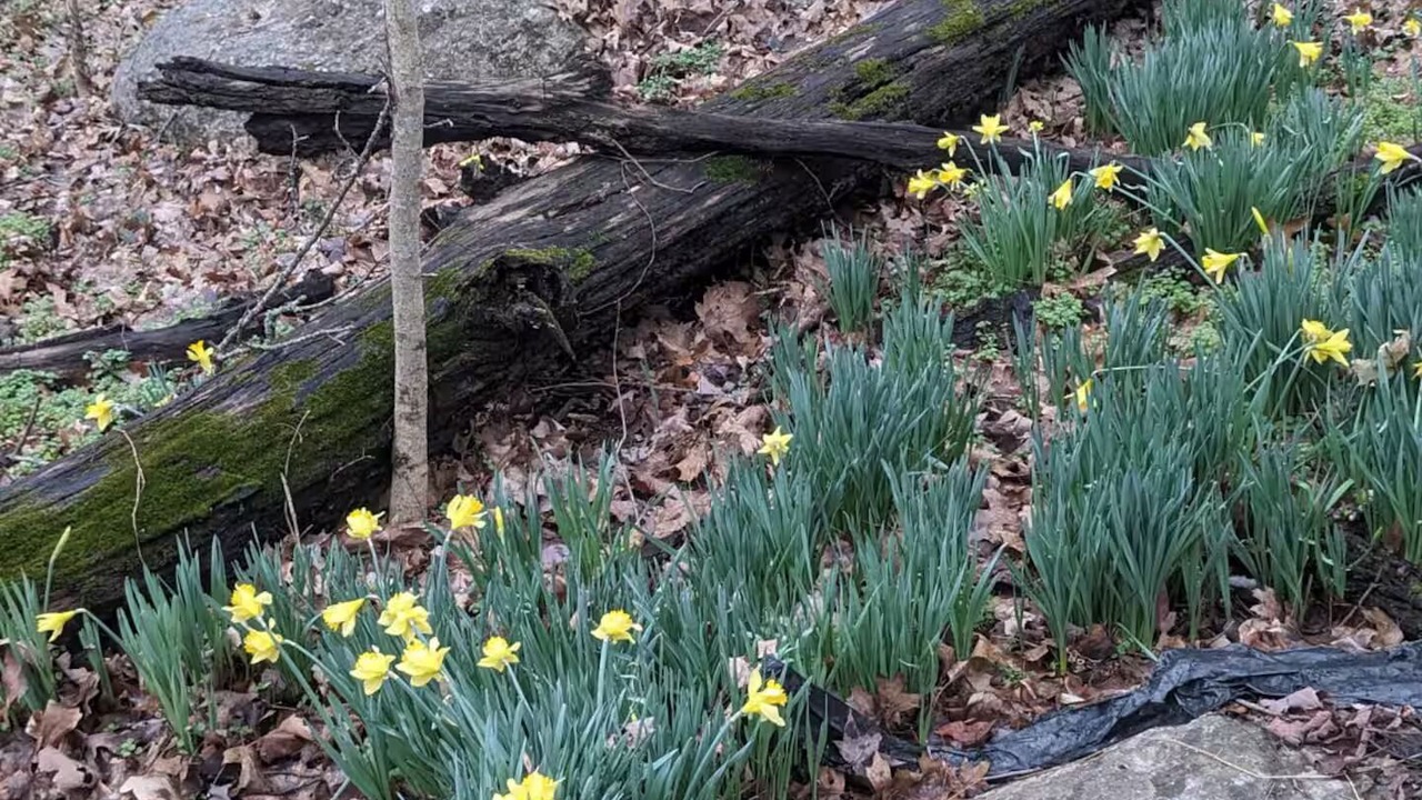 Photo of Outdoor in Murfreesboro