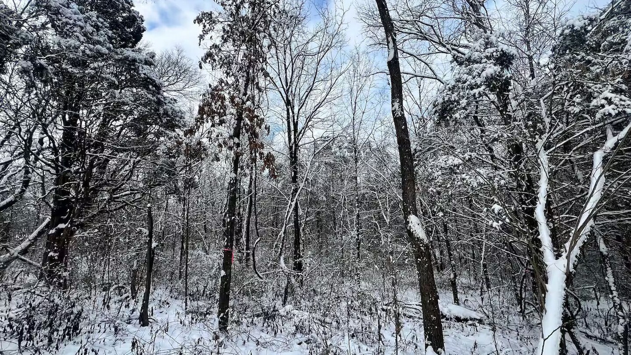 Photo of Others in Murfreesboro