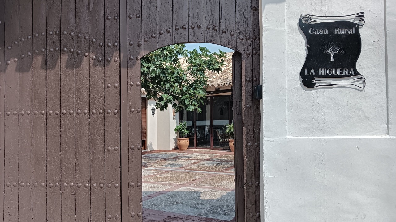 Photo of Outdoor in El Picazo