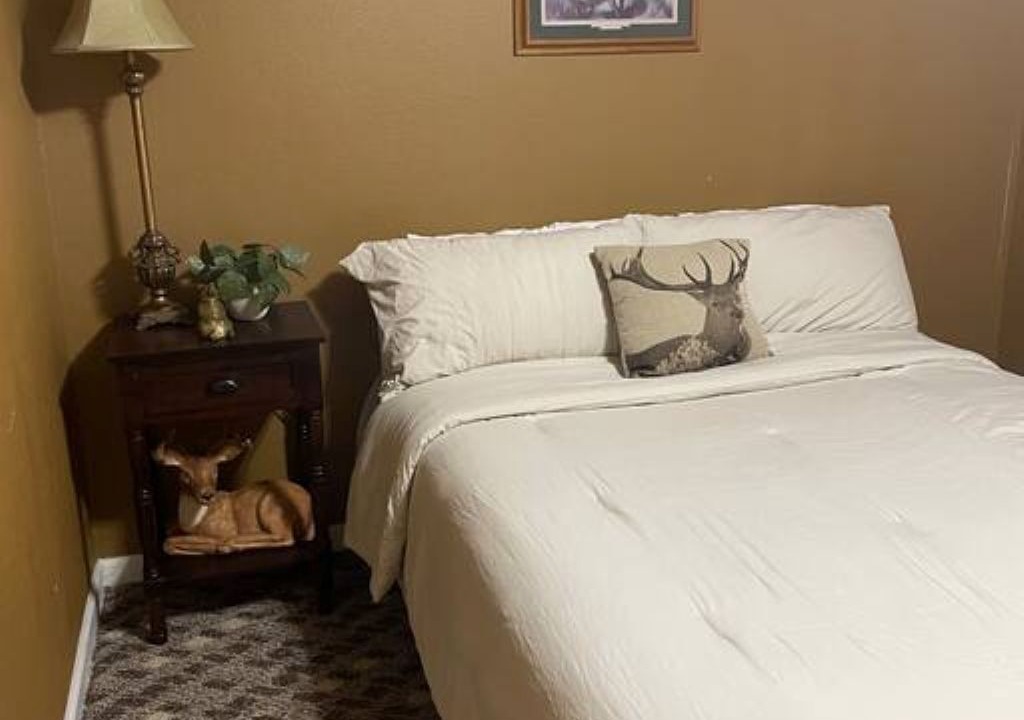 Photo of Bedroom in Desha
