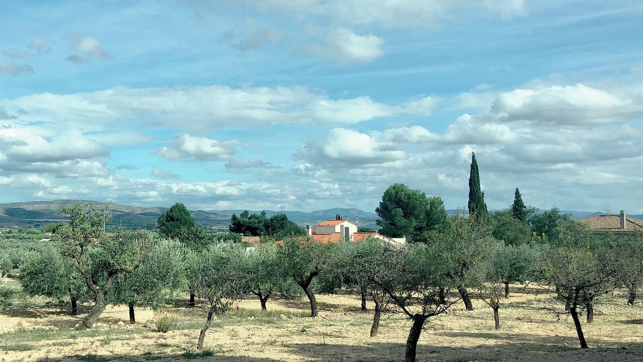 Photo of Others in Caudete