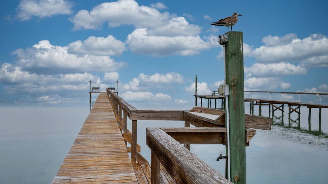 Photo of Others in Rockport