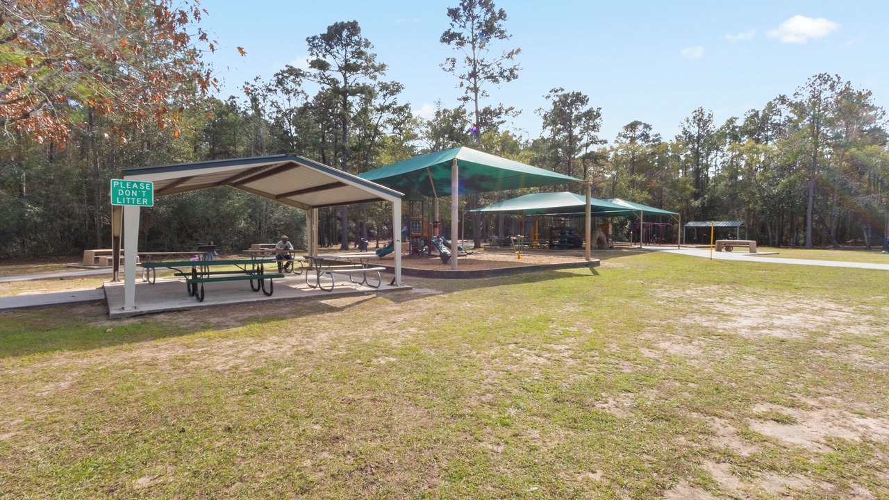 Photo of Outdoor in Spring