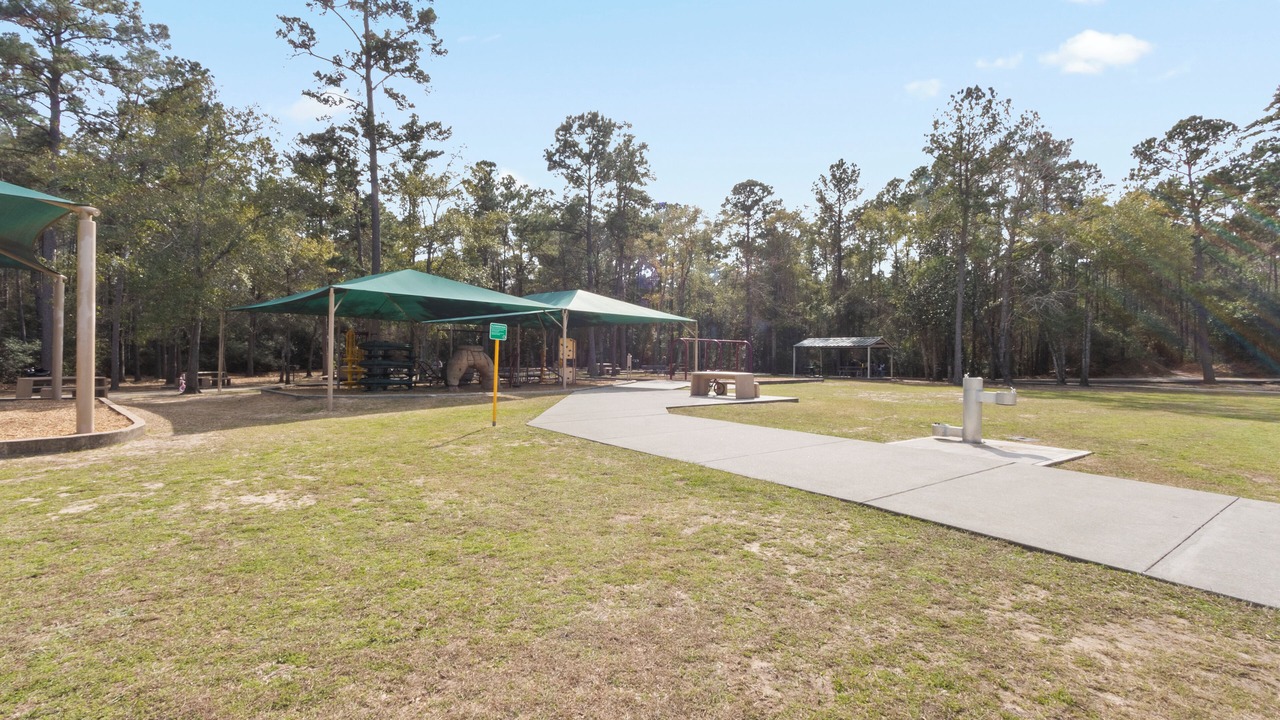 Photo of Outdoor in Spring
