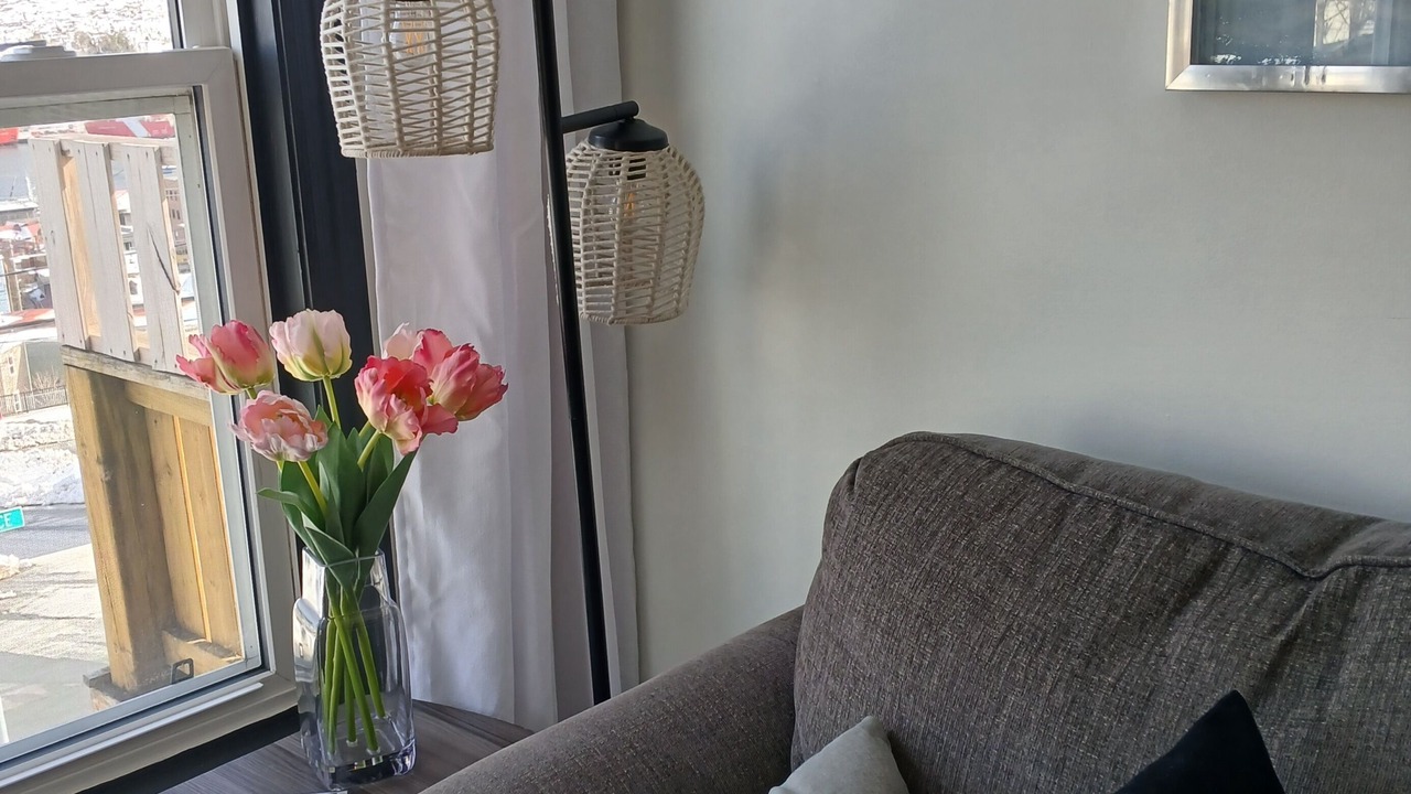 Photo of Livingroom in Downtown St. John's