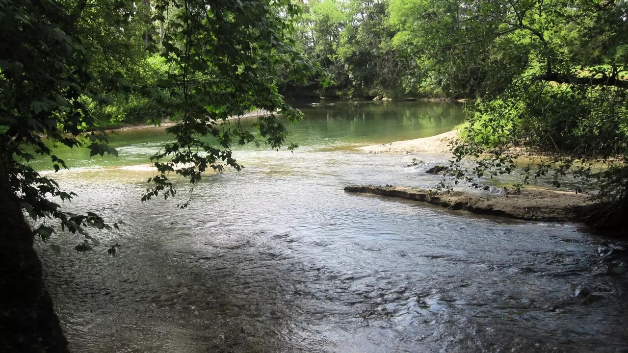 Photo of Others in Belmont-Tramonet