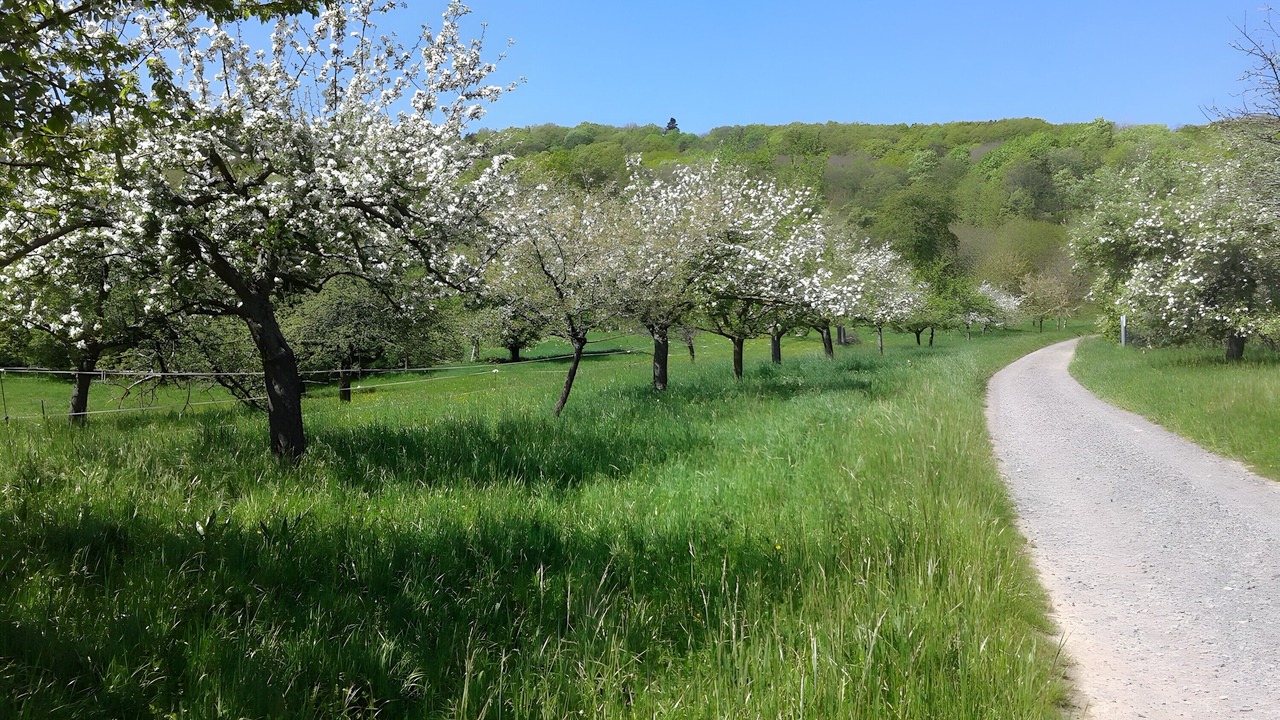 Photo of Others in Boersch