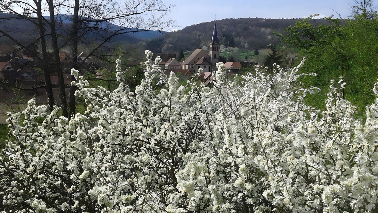 Photo of Others in Boersch