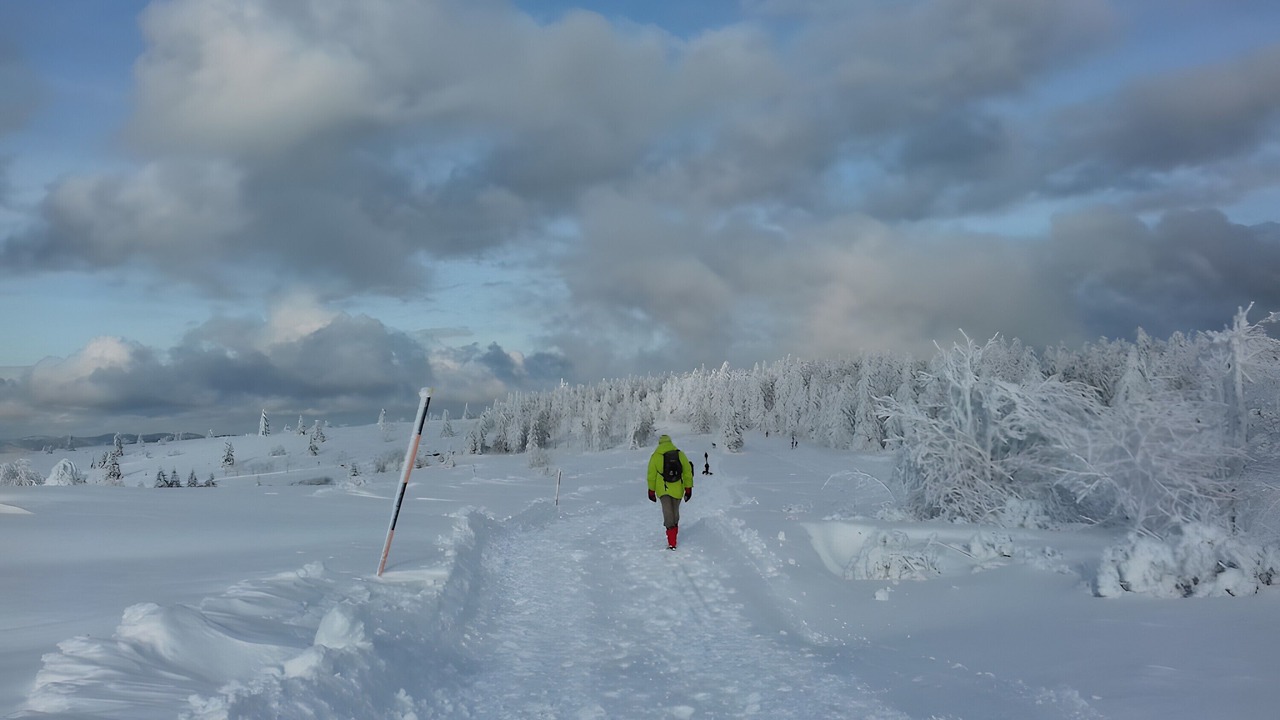 Photo of Others in Boersch