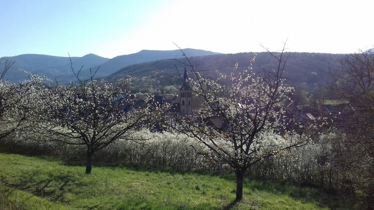 Photo of Others in Boersch