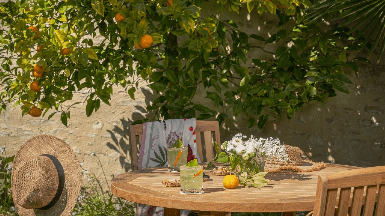 Photo of Outdoor in Saint-Martin-de-Re