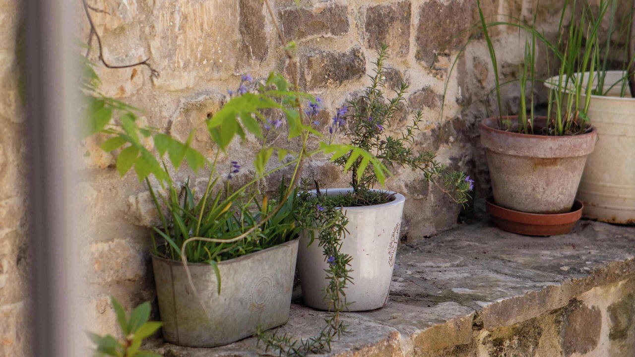 Photo of Outdoor in Wellow