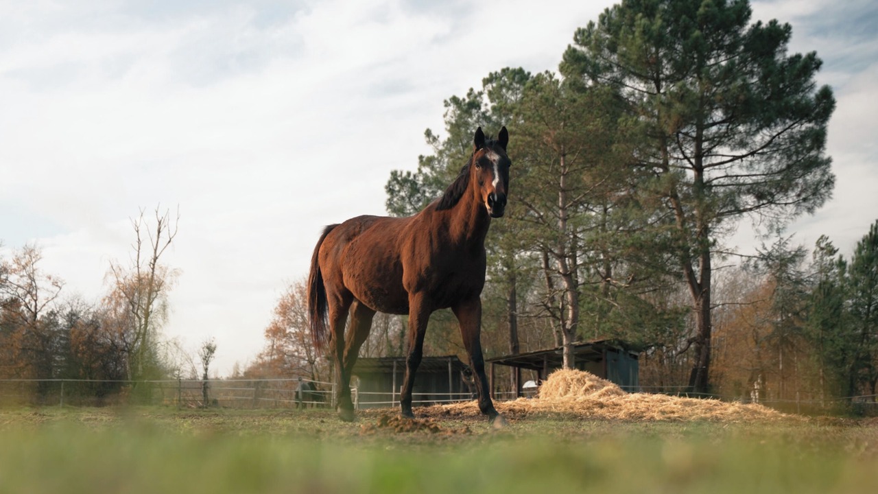 Photo of Others in Neuvy-en-Sullias