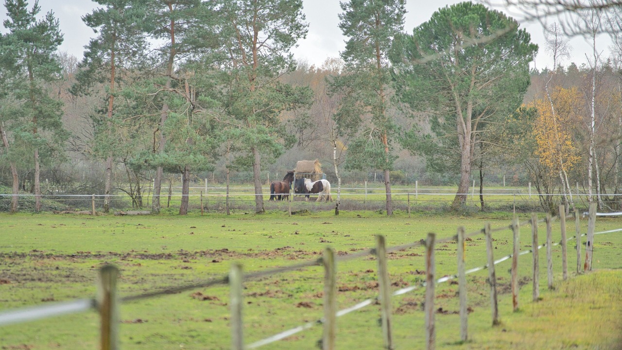 Photo of Others in Neuvy-en-Sullias