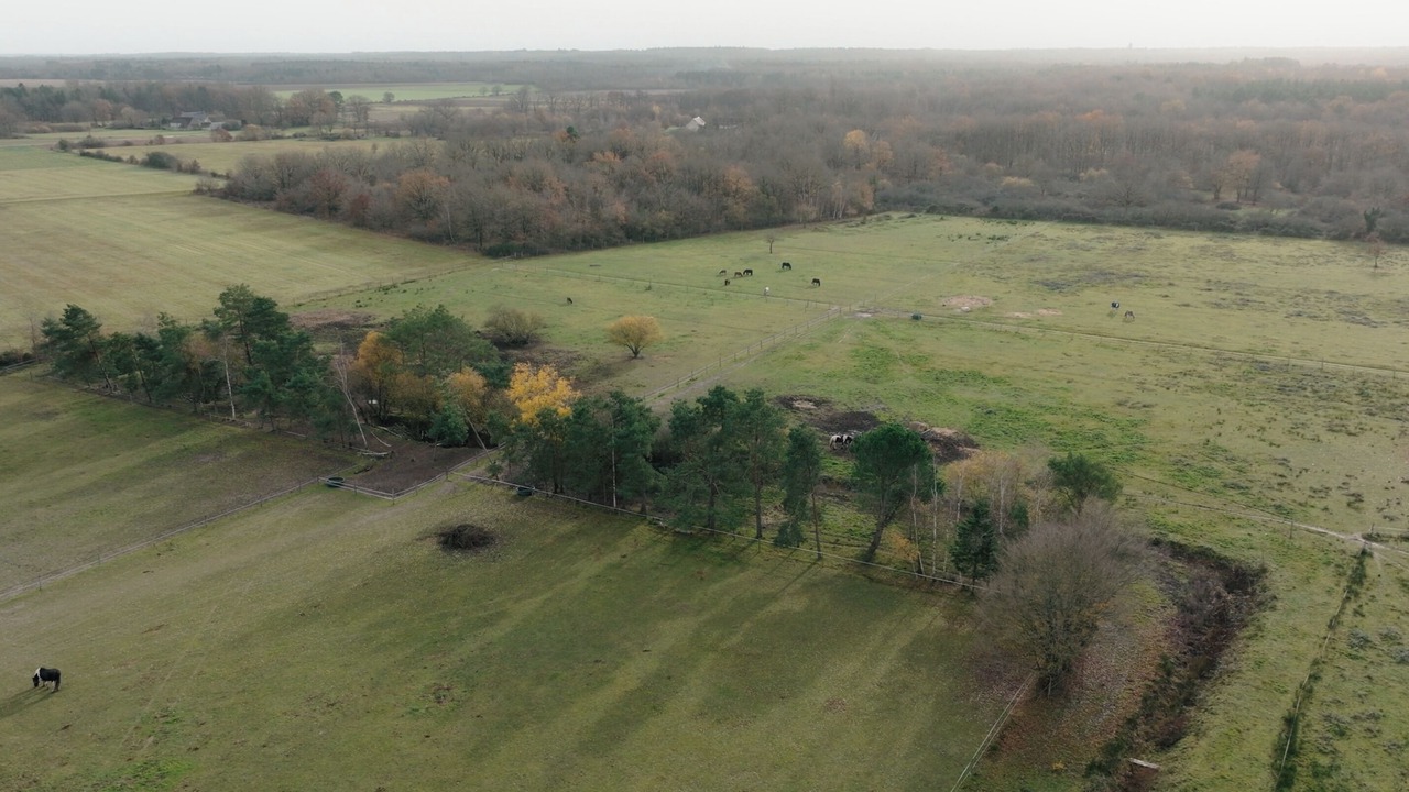 Photo of Outdoor in Neuvy-en-Sullias