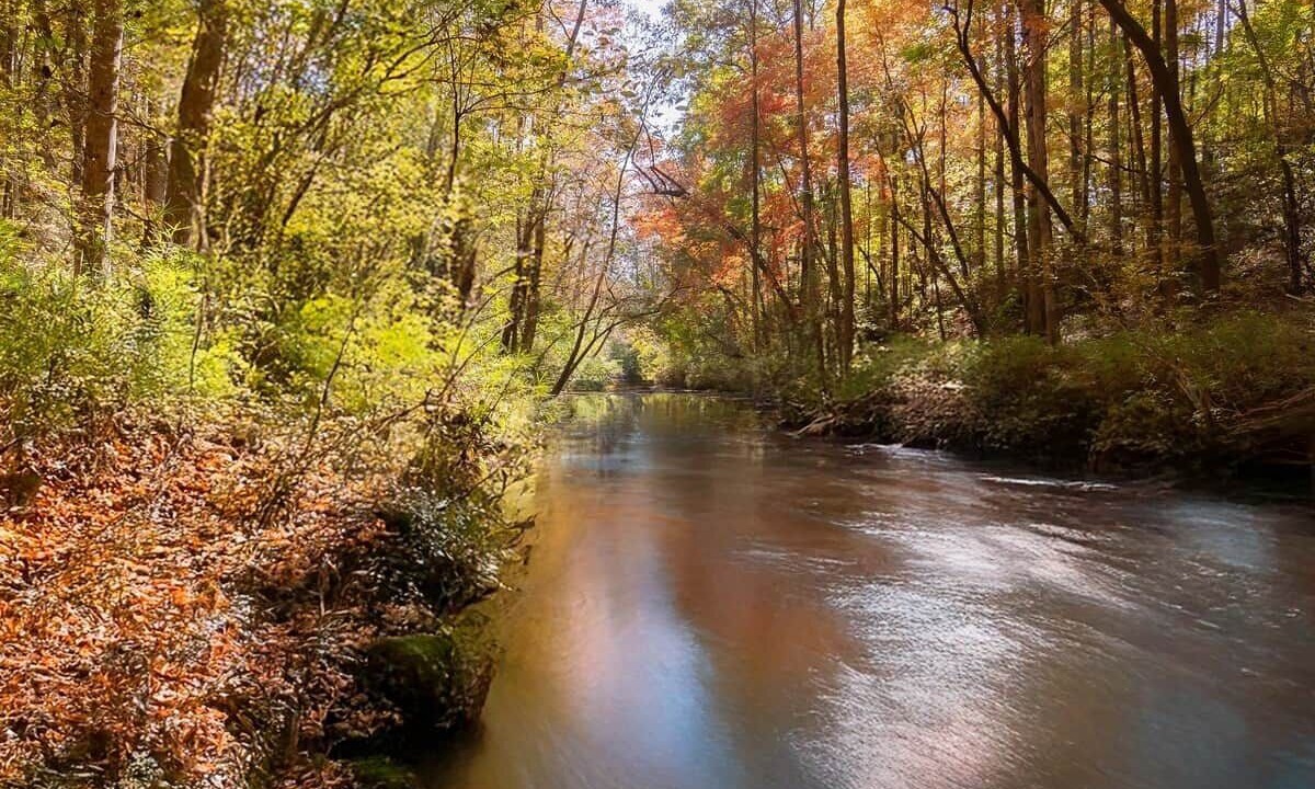 Photo of Others in Newell