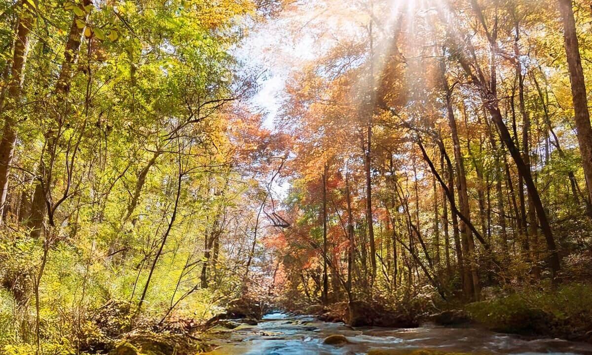 Photo of Others in Newell