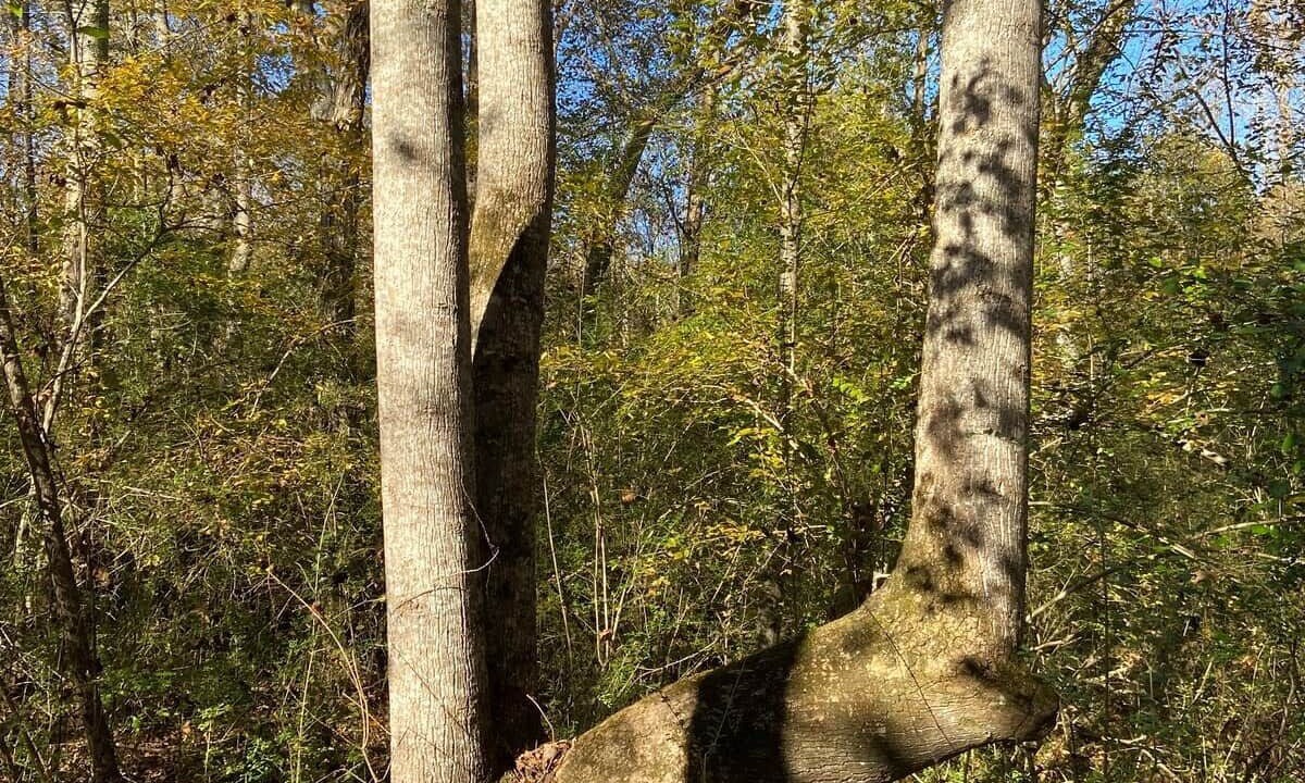 Photo of Others in Newell