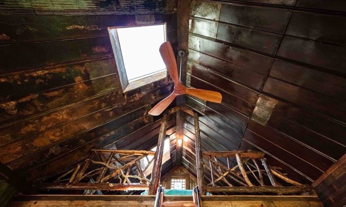 Photo of Others in Newell