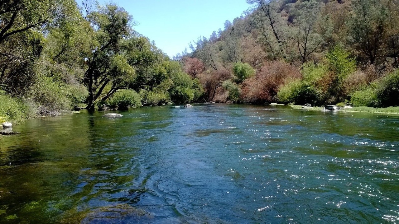 Photo of Others in Winters