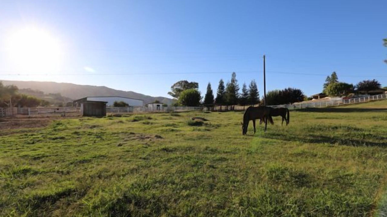 Photo of Others in Winters