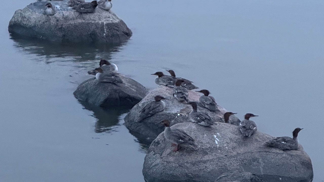 Photo of Others in Traverse Bay
