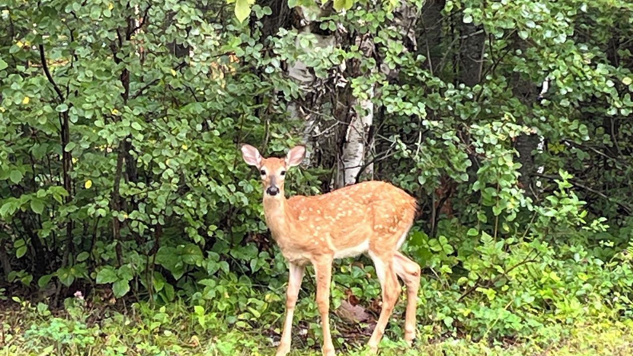 Photo of Others in Traverse Bay