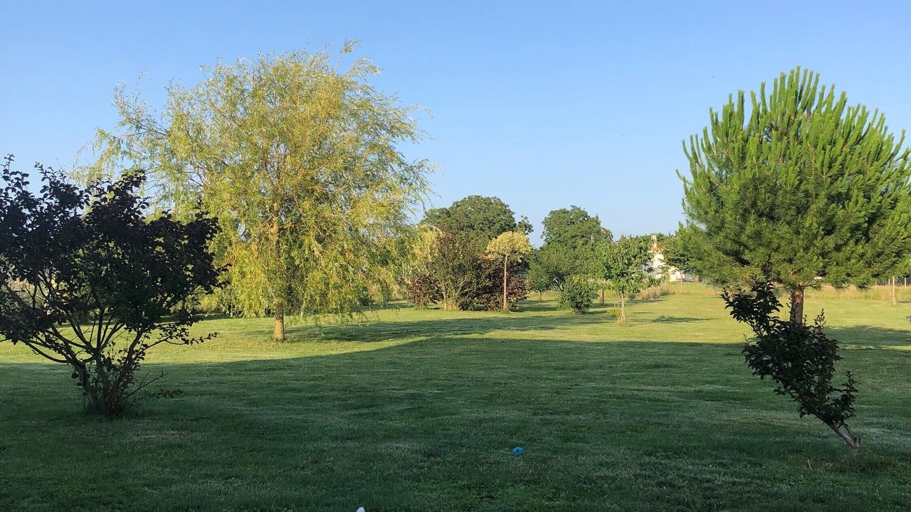 Photo of Outdoor in Saint-Georges-les-Baillargeaux